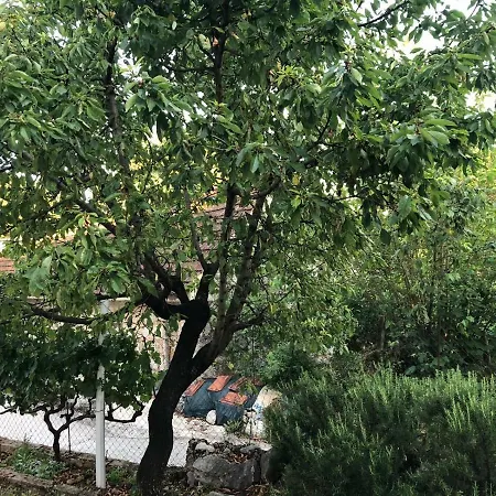 Leon, Near Makarska